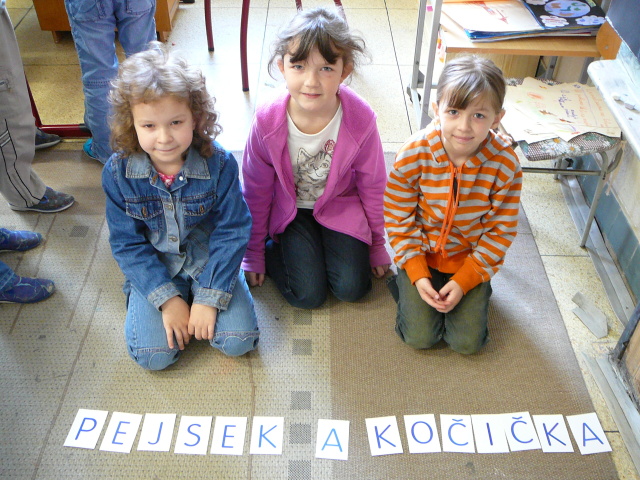 P1100571.jpg