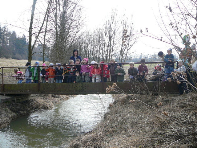 P1090241.jpg